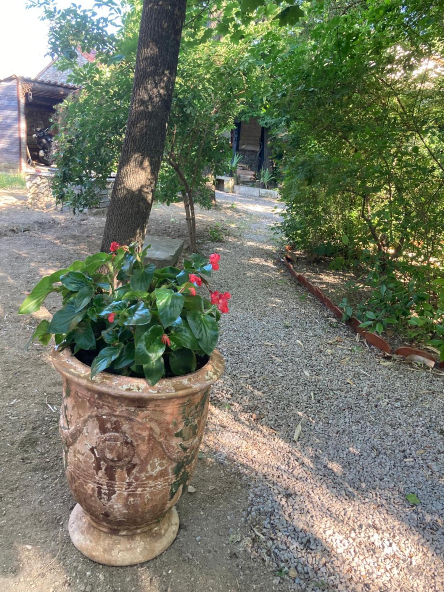 La Chambre Du Parc 圣马丹德隆德雷 外观 照片
