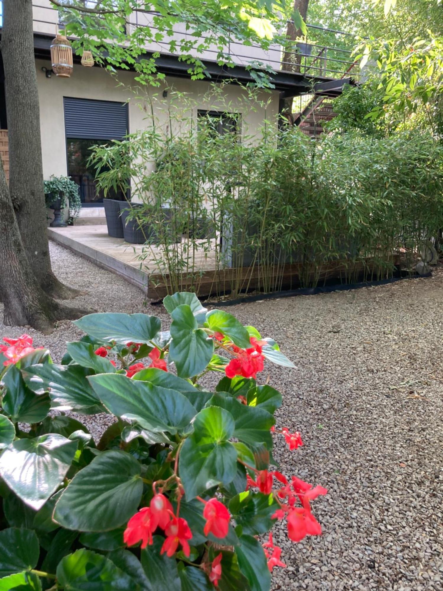 La Chambre Du Parc 圣马丹德隆德雷 外观 照片